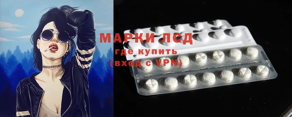 ГАЛЛЮЦИНОГЕННЫЕ ГРИБЫ Лагань