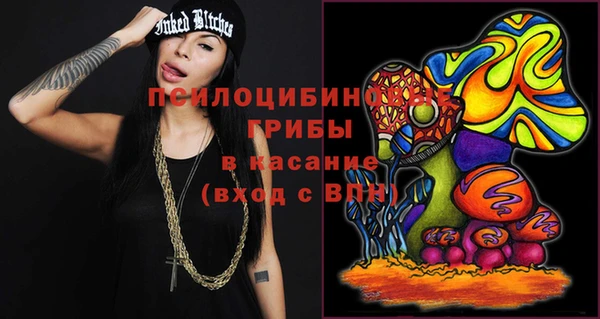 ГАЛЛЮЦИНОГЕННЫЕ ГРИБЫ Лагань