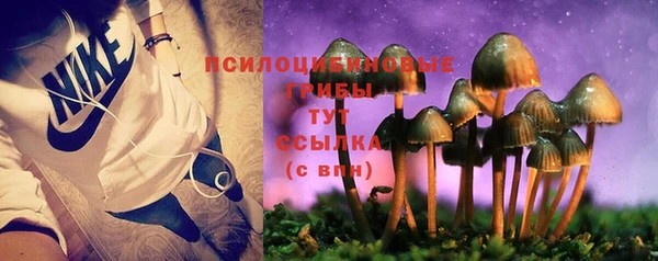 соль курить ск Ладушкин
