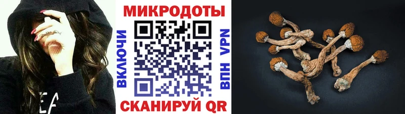 Псилоцибиновые грибы прущие грибы  дарк нет официальный сайт  Кяхта  наркошоп 